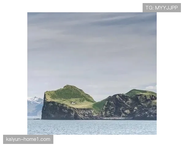 萨卡里亚森配合意识出色 冰岛球员团队作战能力突出